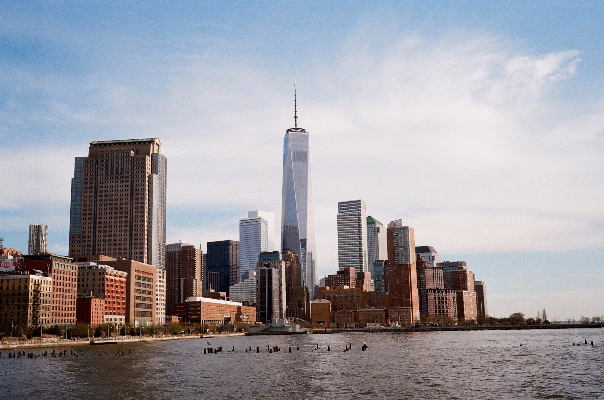 Exploring the Rise of Urban Gardening: A Green Revolution in Cities